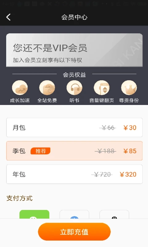 必看小说正版