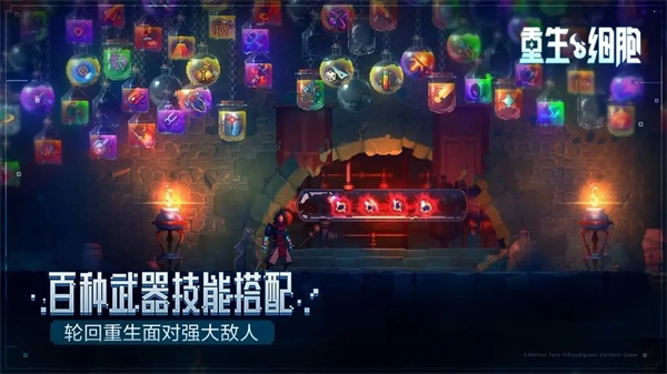 重生细胞最新版(3)