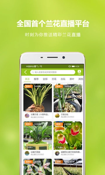 中国兰花交易平台图1