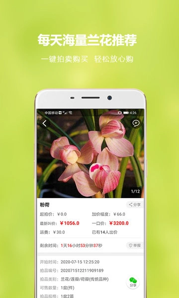 中国兰花交易平台图3
