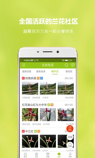 中国兰花交易平台图4