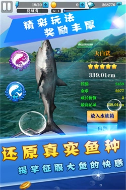 天天爱钓鱼1