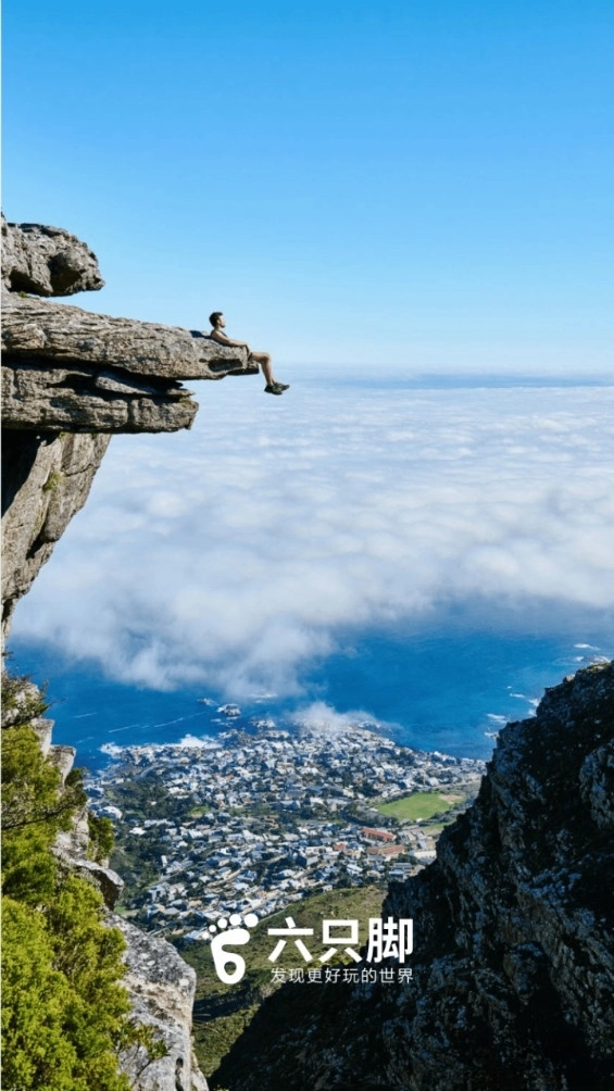 六只脚最新版