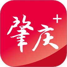 肇庆+新闻客户端