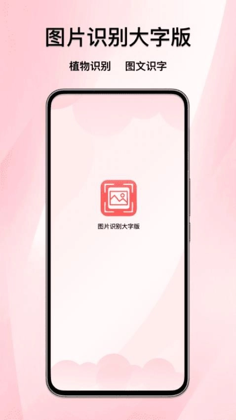 图片识别大字版