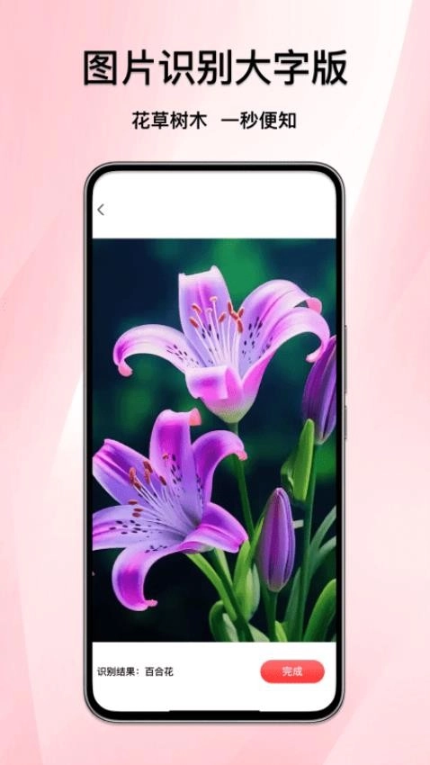 图片识别大字版
