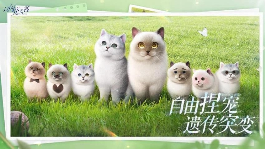 以闪亮之名-图5