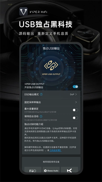 VIPERHiFi图4