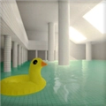 pools池核正版