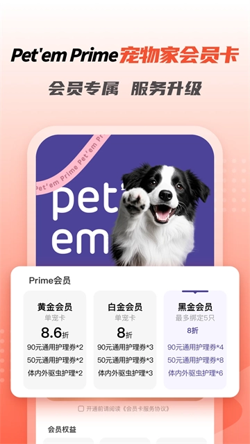 宠物家(1)