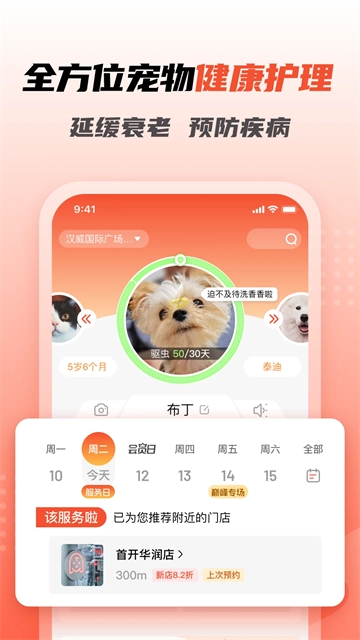 宠物家(3)