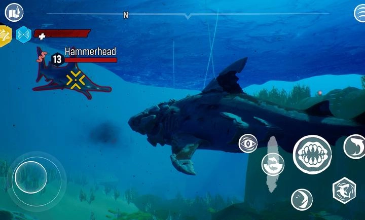 食人鲨直装版图7