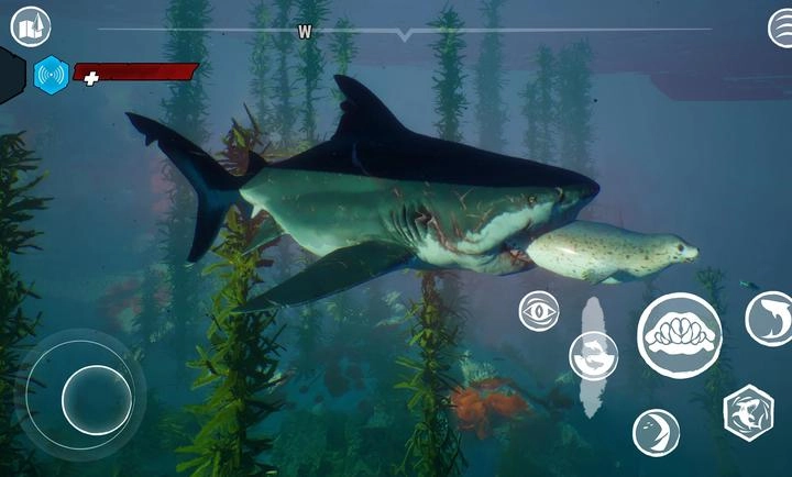 食人鲨直装版图5