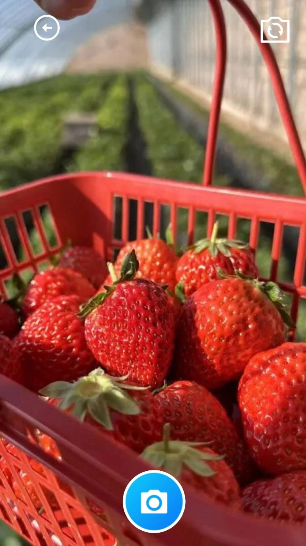 云清工具盒子图4