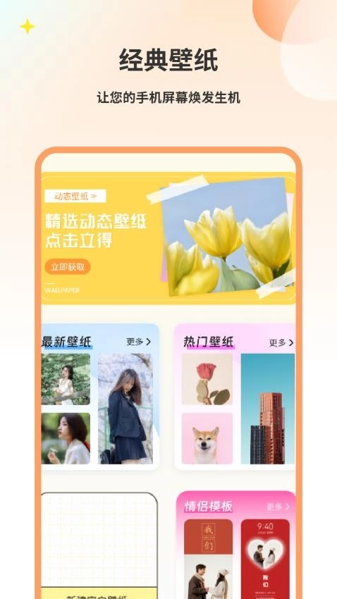 壁纸猫图1