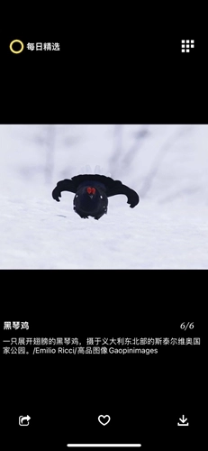 每日精选安卓版