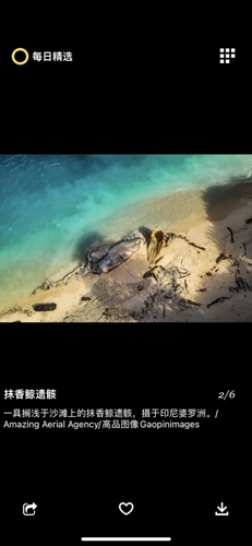 每日精选安卓版