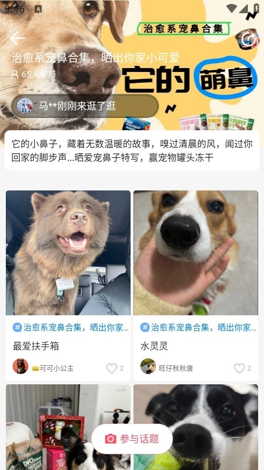 68宠物最新版