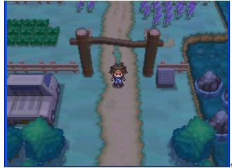 口袋妖怪黑白中文版