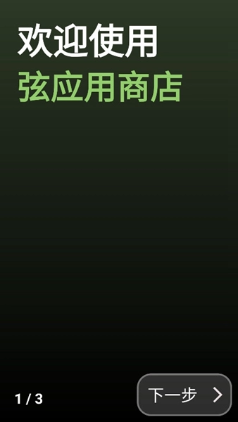 弦应用商店手表版