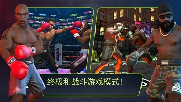 终极拳击冠军赛完整版下载