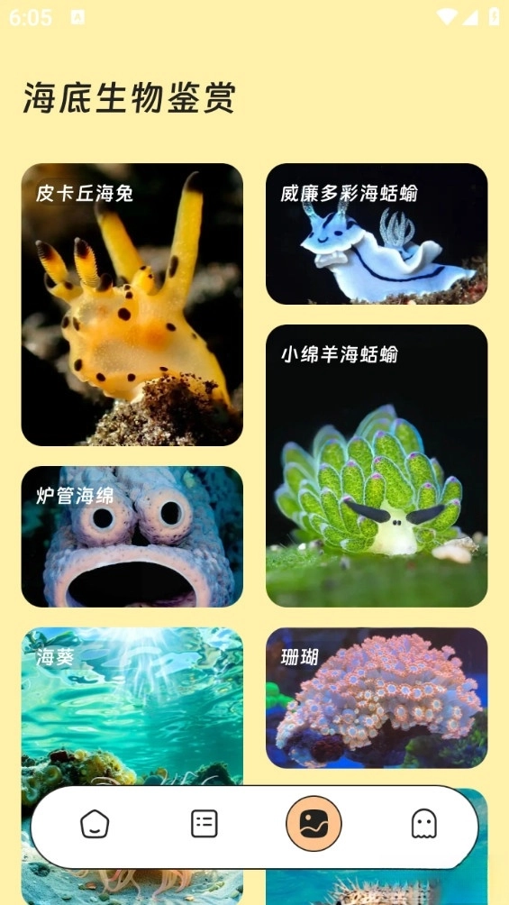 红火流量管家图3