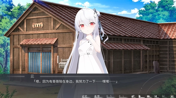 片方的祈愿安卓版2