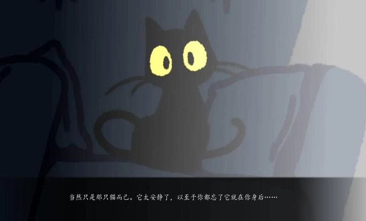 别带这只猫回家截图4
