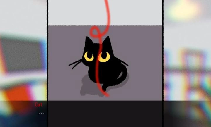 别带这只猫回家截图3