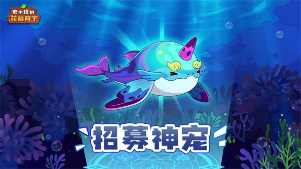 史小坑的花前月下4