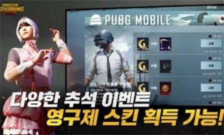 绝地求生韩服(4)