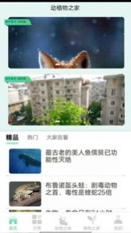 动植物之家手机版图1