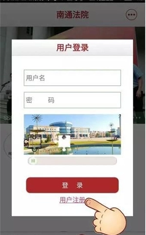 诉讼服务图2