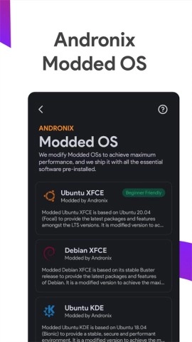 Andronix手机版截图