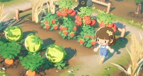 泡芙天空岛汉化版-图1