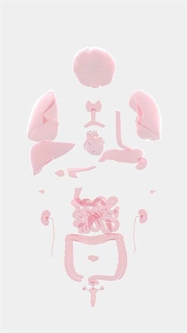 生命人体模拟器Life(3)