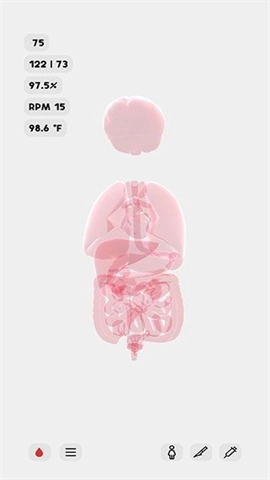 生命人体模拟器Life(1)