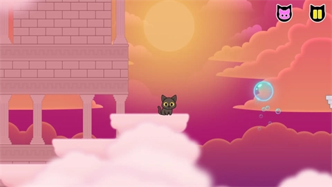 抓鸟的猫无广告版图3