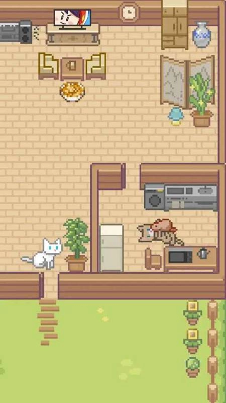 Miao屋游戏最新版(2)