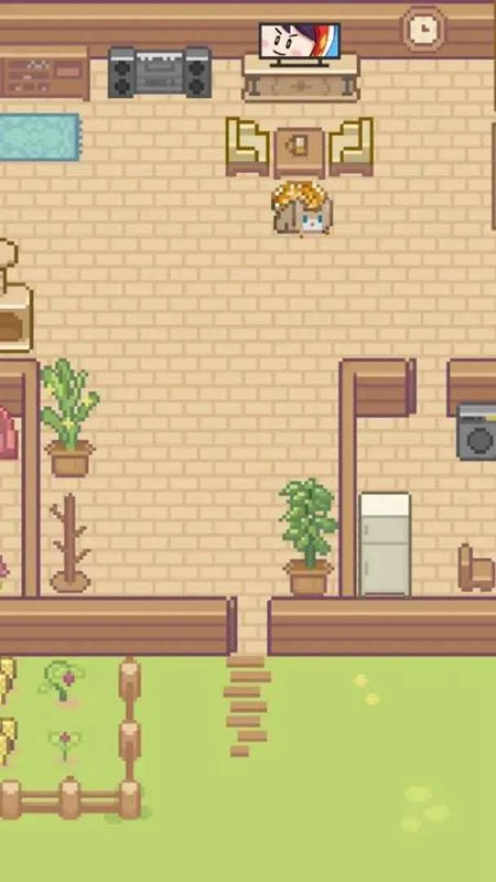 Miao屋游戏最新版(4)