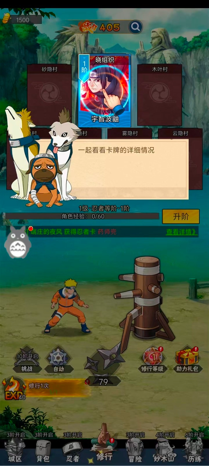 木叶训练营