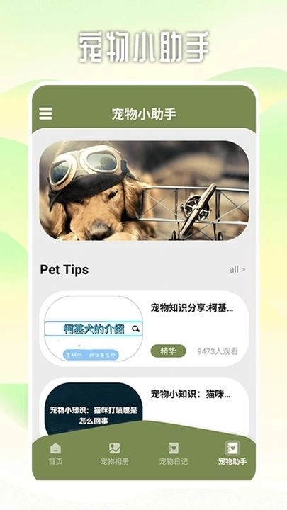 爱游猫助手图1