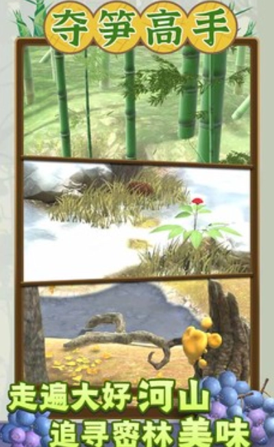 夺笋高手红包版