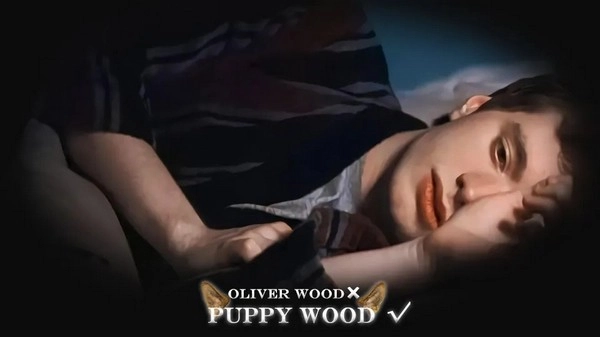 HP不靠谱学长攻略指南橙光游戏