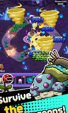 呼噜噜暴走地城