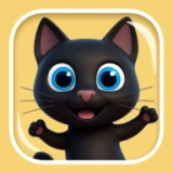 猫咪行动