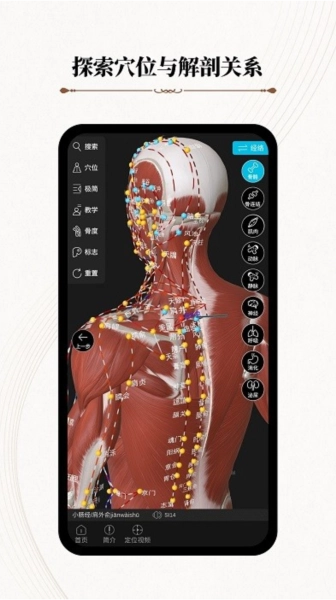 针灸大师-图3