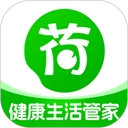 荷叶健康正版