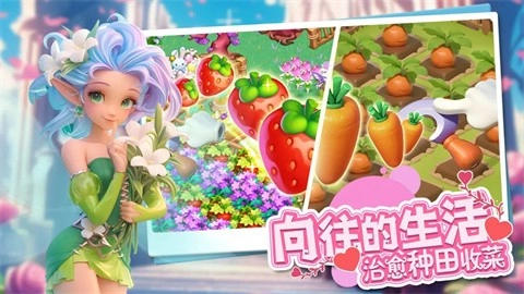 梦幻魔法屋国际服