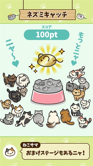 寻找猫咪安卓版图1